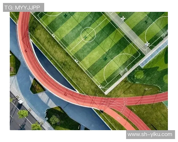 足球场小球星标识牌设计与规范标准探讨及实施方案